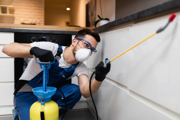 Best Flea Control Services  in Mona, UT