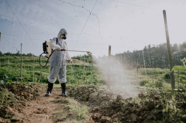 Best Pest Control Treatment  in Mona, UT