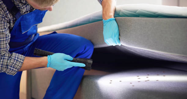 Best Pest Inspection Near Me  in Mona, UT