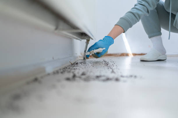 Best Best Pest Control Companies  in Mona, UT